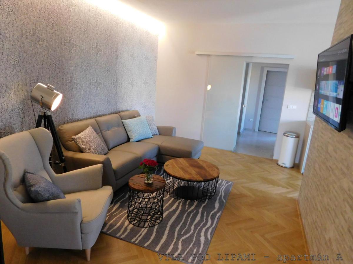 Vila Pod Lipami Apartamento Bruntál Exterior foto