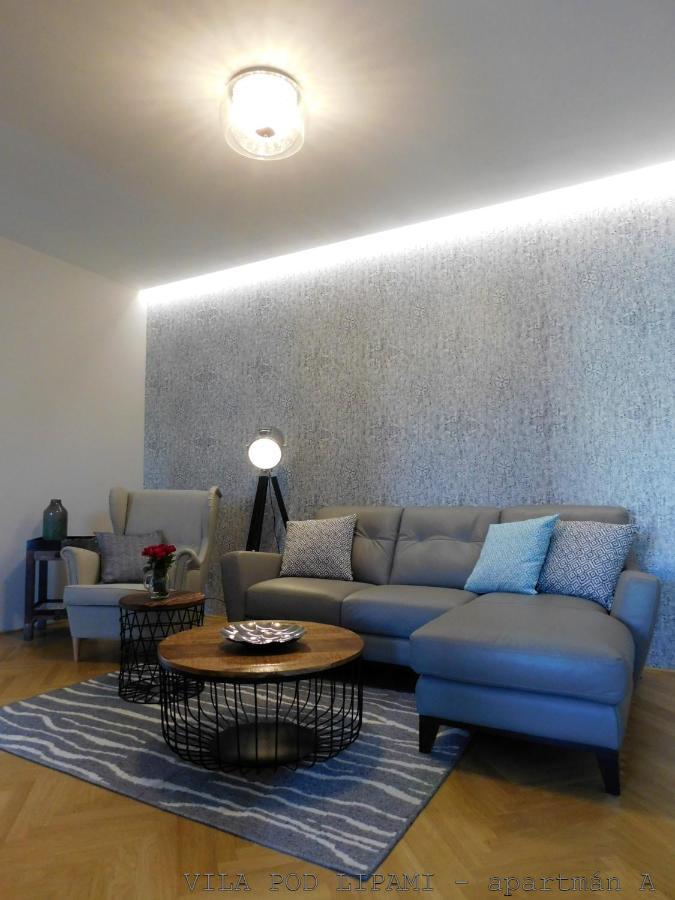 Vila Pod Lipami Apartamento Bruntál Exterior foto